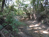 Enlarge photo 37