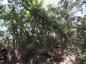 Enlarge photo 38