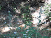 Enlarge photo 39