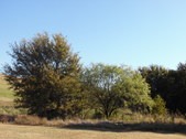 Nature Hike 133