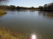 Enlarge photo 28