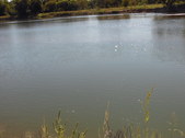 Enlarge photo 34