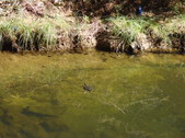 Nature Hike 134