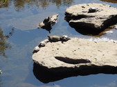 Enlarge photo 19