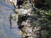 Enlarge photo 27