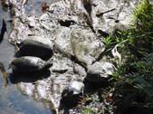 Enlarge photo 28