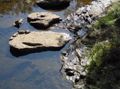 Enlarge photo 29