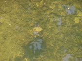 Enlarge photo 32