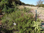 Enlarge photo 2