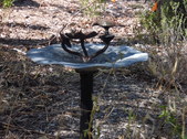 Enlarge photo 8