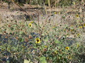 Enlarge photo 31