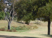Enlarge photo 33
