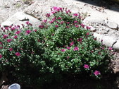 Enlarge photo 28