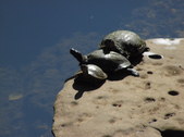 Enlarge photo 23