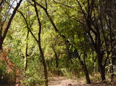 Enlarge photo 25