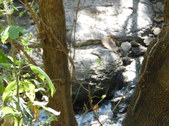 Enlarge photo 28