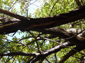 Enlarge photo 31