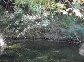 Enlarge photo 32