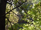 Enlarge photo 33