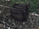 Enlarge photo 36