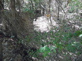 Enlarge photo 39
