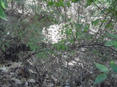 Enlarge photo 40