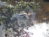 Nature Hike 138