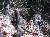 Enlarge photo 17