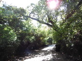 Enlarge photo 18