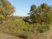 Nature Hike 139