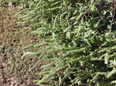 Enlarge photo 29