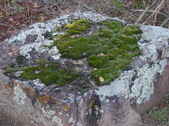 Nature Hike 140