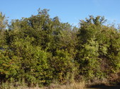Enlarge photo 15