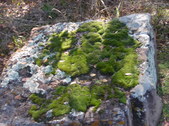 Nature Hike 141