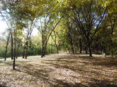 Enlarge photo 11