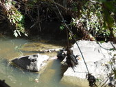 Enlarge photo 24