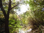 Enlarge photo 28