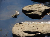 Nature Hike 142