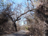 Enlarge photo 17