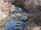 Nature Hike 146
