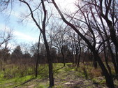 Nature Hike 148