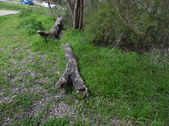 Nature Hike 151