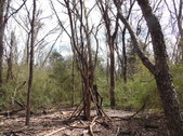 Enlarge photo 3