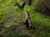 Nature Hike 152