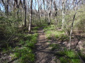 Enlarge photo 2