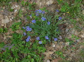 Enlarge photo 16
