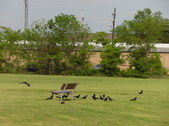 Nature Hike 154