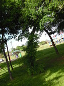 Enlarge photo 19