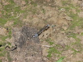 Enlarge photo 26