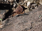 Enlarge photo 28